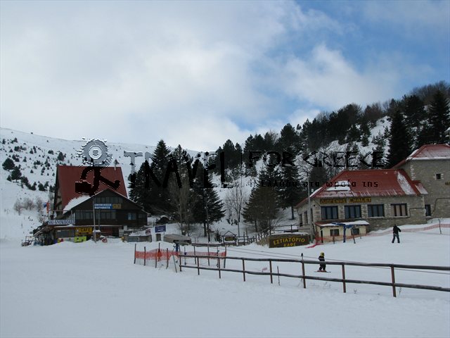 seli