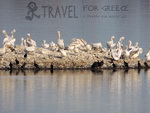 Κερκίνη - Ο υγροβιότοπος της