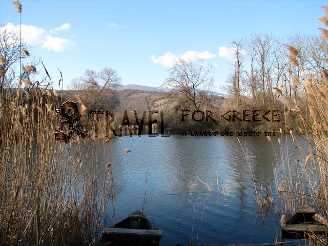 Εικόνα