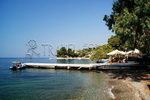 &Eta; Ά&phi;&eta;&sigma;&sigma;&omicron;&sigmaf;