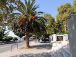 Αγριά - Ο παραλιακός δρόμος της