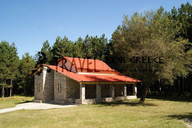 Patomeni