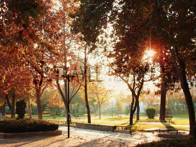Alkazar
