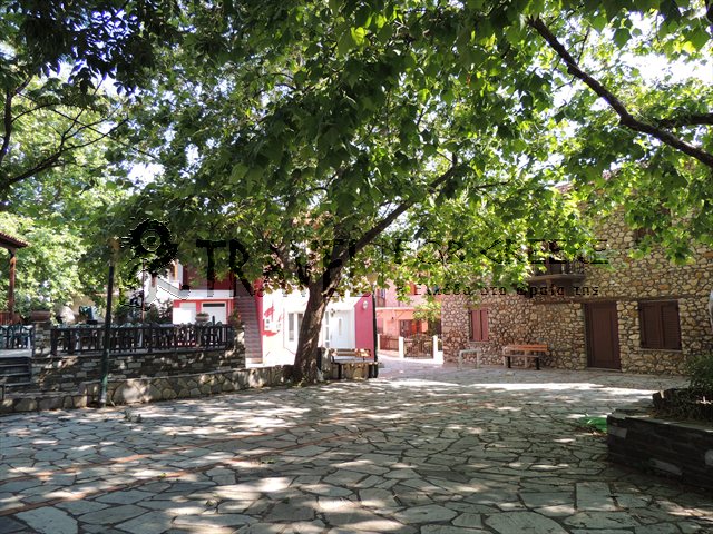 Platia  Skitis