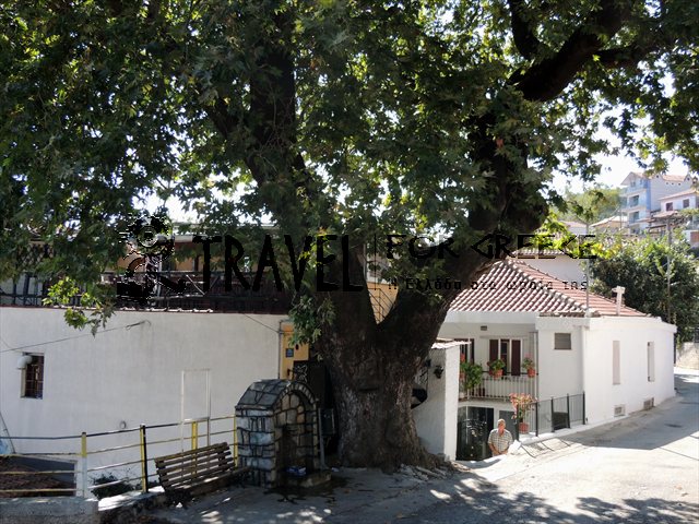 Καρίτσα.